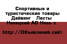 Спортивные и туристические товары Дайвинг - Ласты. Ненецкий АО,Несь с.